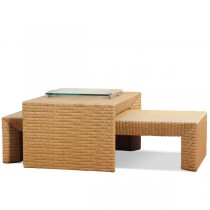 Bridge Coffee Table 06 07 1