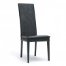 Apollo Chair Upholstered Seat 1