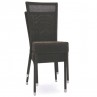 Bantam Dining Arm Chair 5