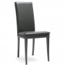 Zeus Upholstered Chair C057FUB