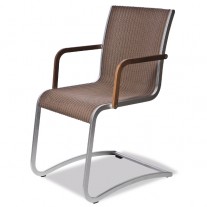 Rado Swing Chair with Arms