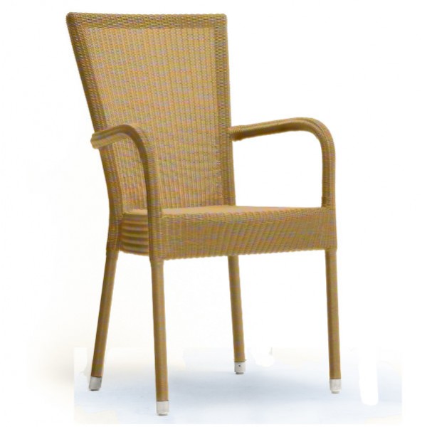 Bantam Dining Arm Chair 4