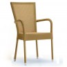 Bantam Dining Arm Chair 4